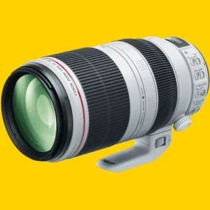 Rent the Canon 100-400mm L II f4.5- 5.6 Lens