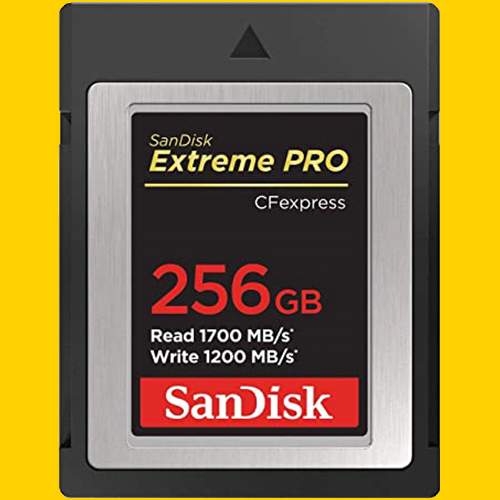 Sandisk Extreme Pro 256GB CFexpress-B Card